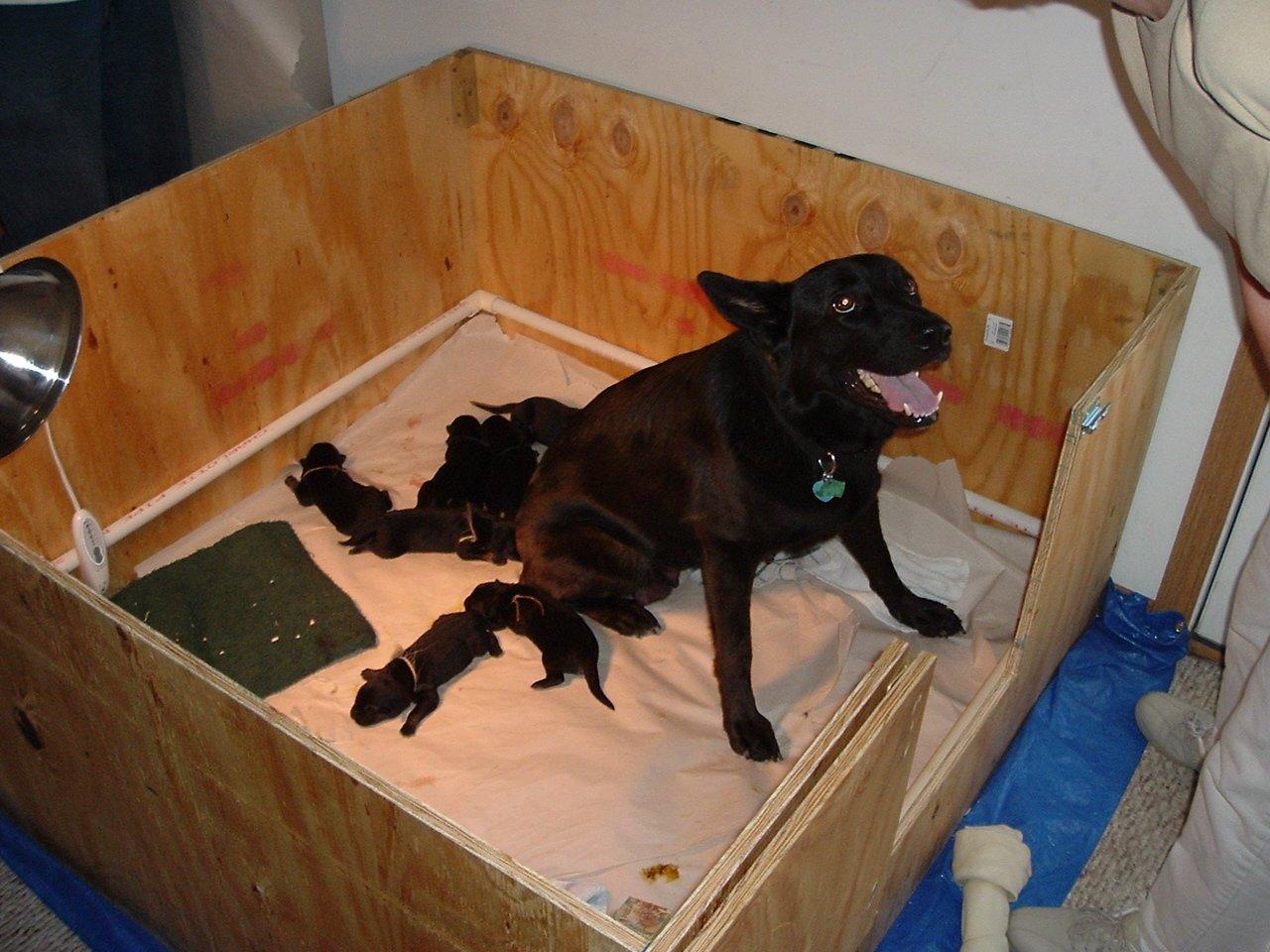 Foto: Stanoven� optim�ln� doby kryt� fen