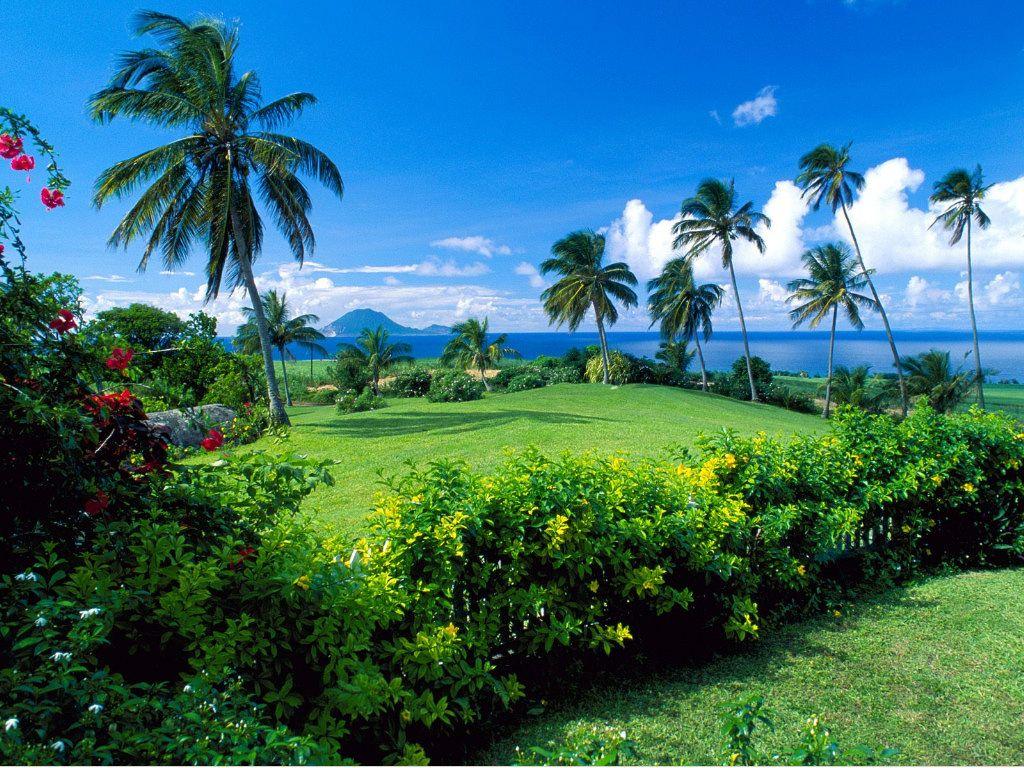 Fotky: Svat� Kry�tof a Nevis (foto, obrazky)