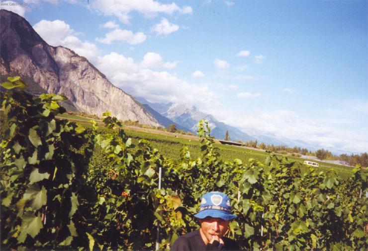 Fotky: �v�carsko (cestopis) (foto, obrazky)