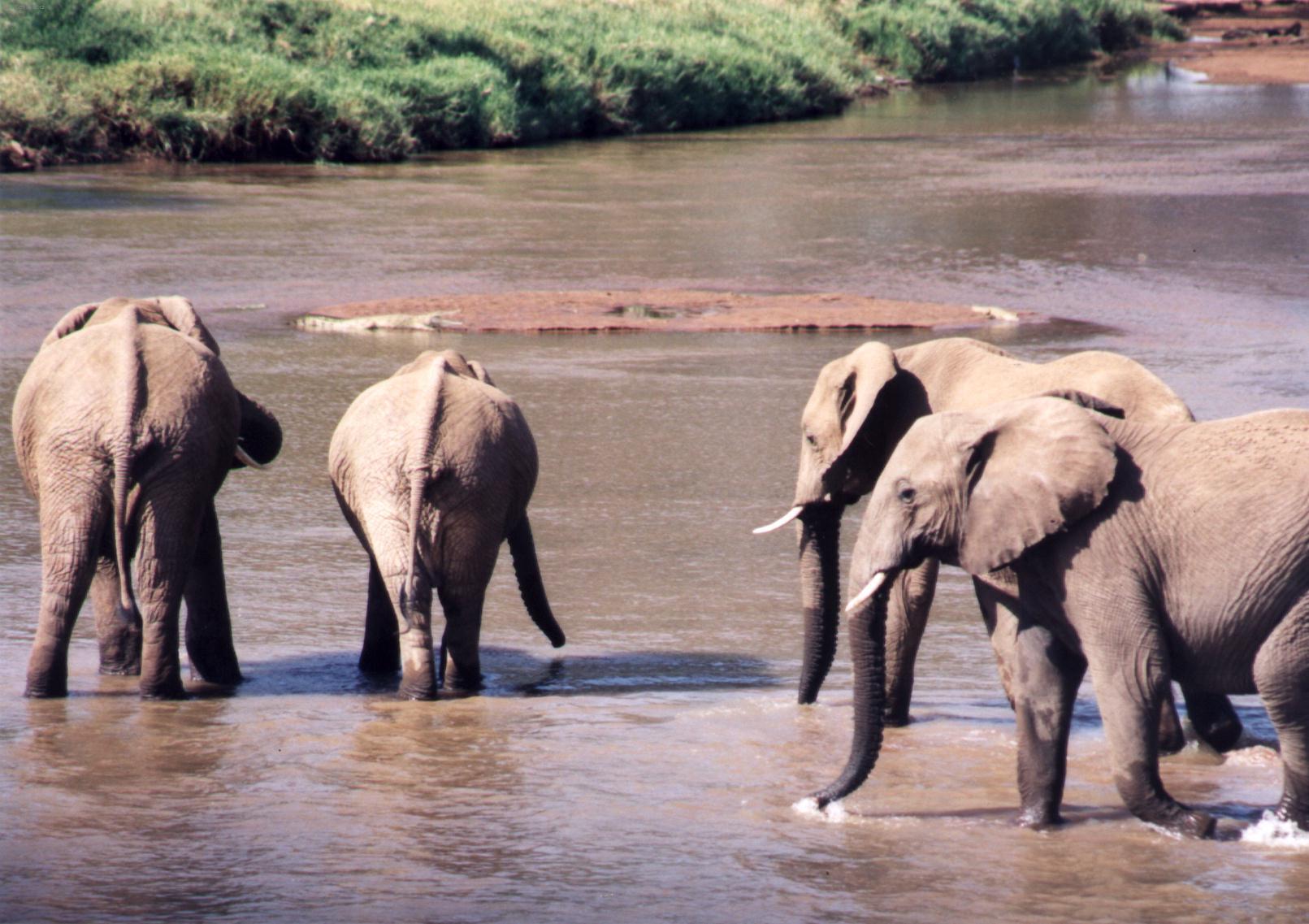 Fotky: Ke�sk� Park (foto, obrazky)