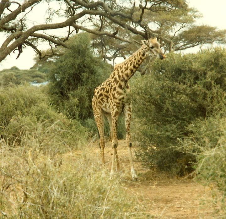 Foto: Ke�sk� Park