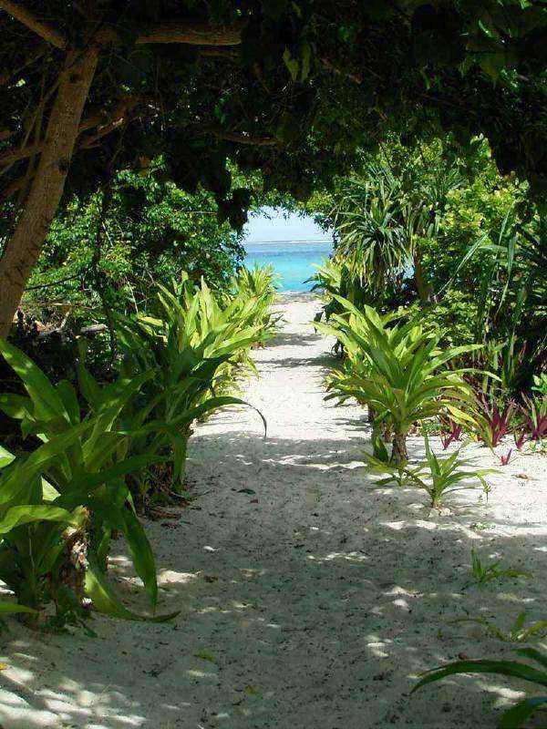 Foto: Vanuatu-Mystery Island�