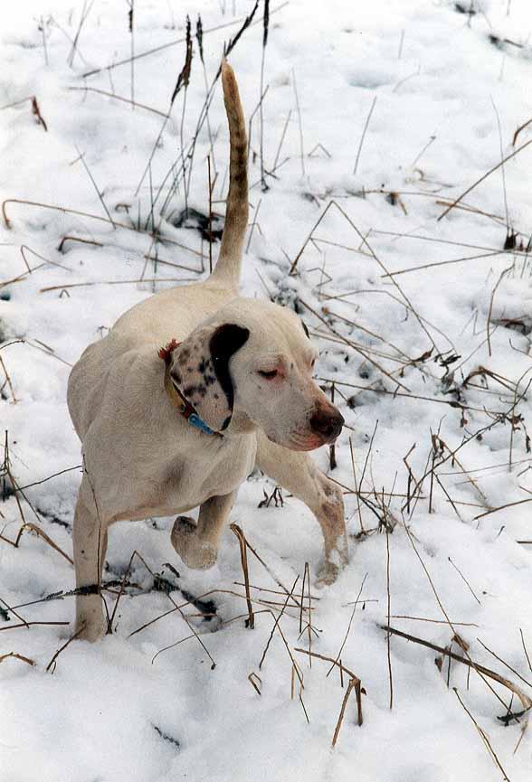 Foto: Zkou�ky oha�� v �R