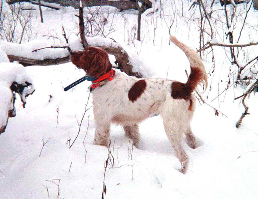 Foto: Zkou�ky oha�� v �R