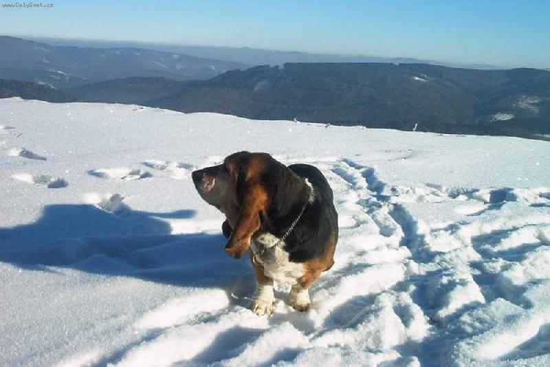 Foto: Gandy-zima na moravsko-slovensk�ch hranic�ch