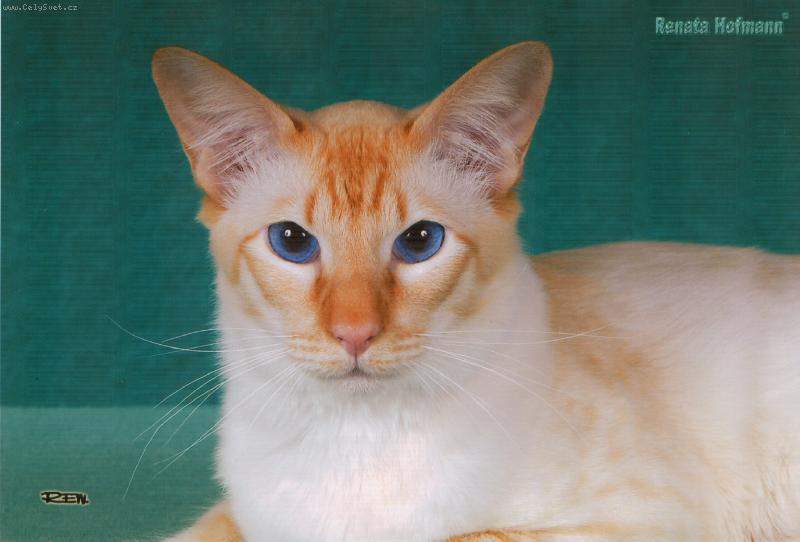 Foto: Mat�sek - balin�z��ek s �erven�mi odznaky