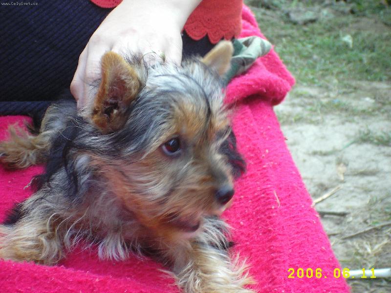 Foto: Zaslou�en� odpo�inek