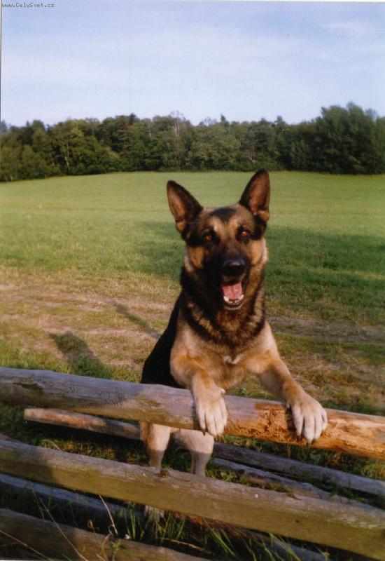 Foto: Dix����k =o)-M�j mil��ek =o)