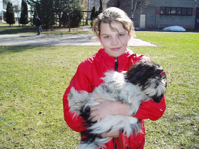 Foto: S�ra a j�-U� tu m�me 3 fotky s�ry jako �t�n�te p�id�v�m tedy dal�� jako dosp�lou fene�ku :)