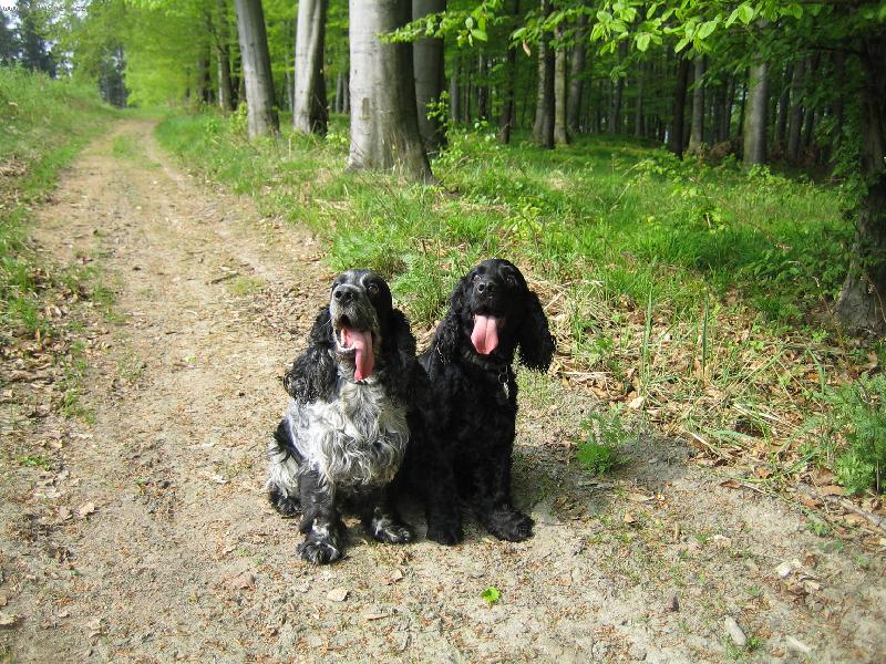 Foto: Moji dva ro���ci