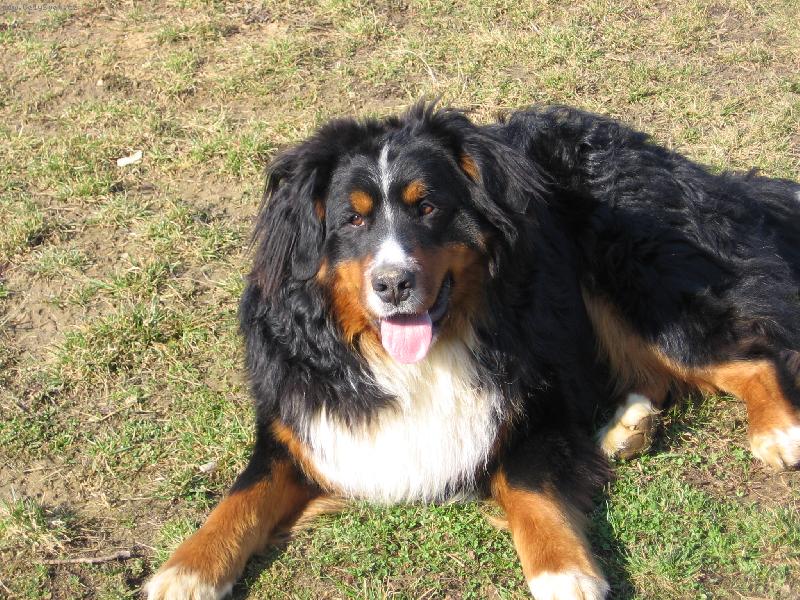 Foto: Harry - j� jsem j�