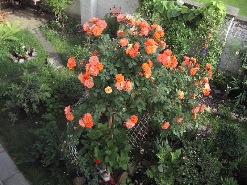 Foto: RَE WESTERLAND