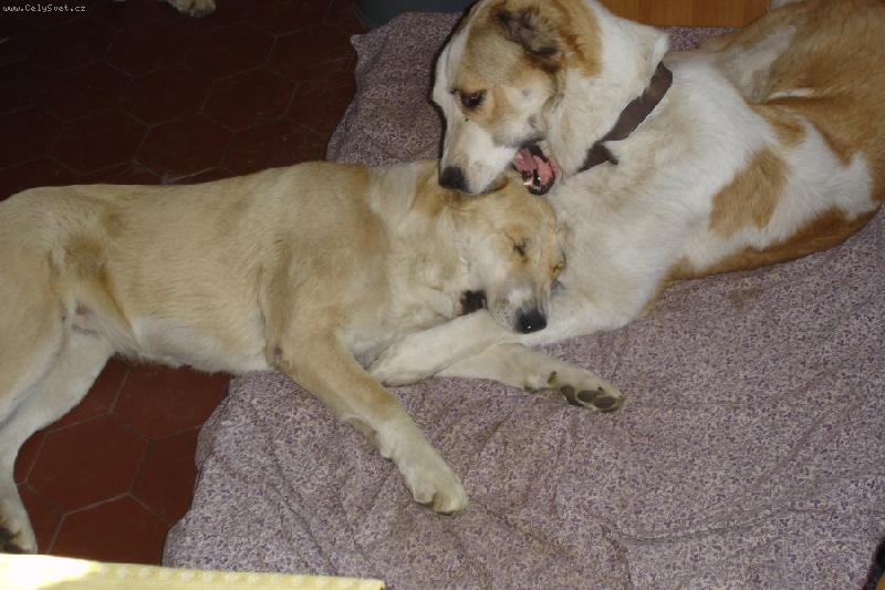 Foto: Sestry-Rann� hr�tky (zat�m v dobr�m)