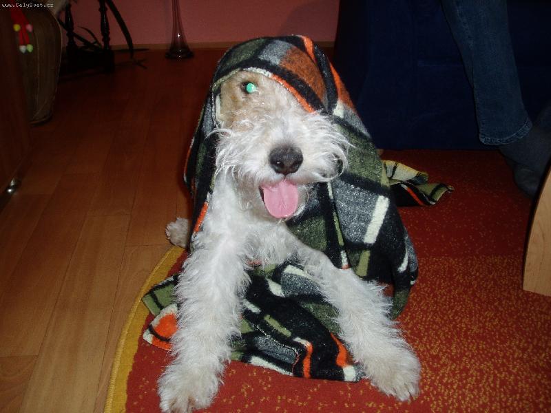 Foto: Abhaj-Toto je n� mil��ek