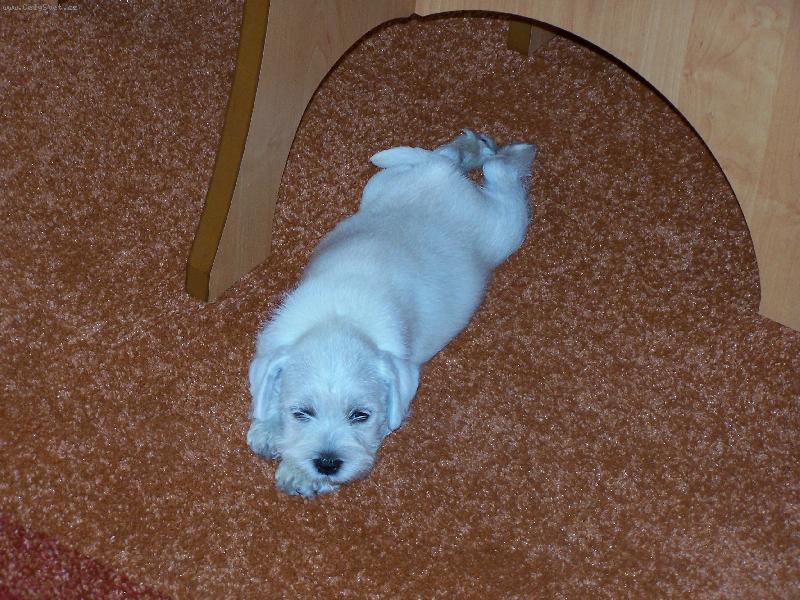 Foto: Na�e 7 t�denn� miminko