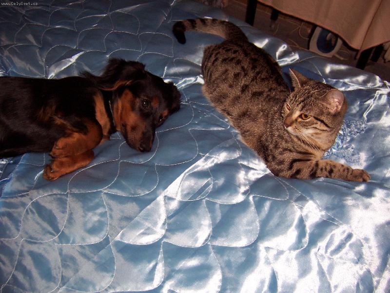 Foto: na�e mal� Tina-Koule-Jsem kamar�dka s ko�i�kou