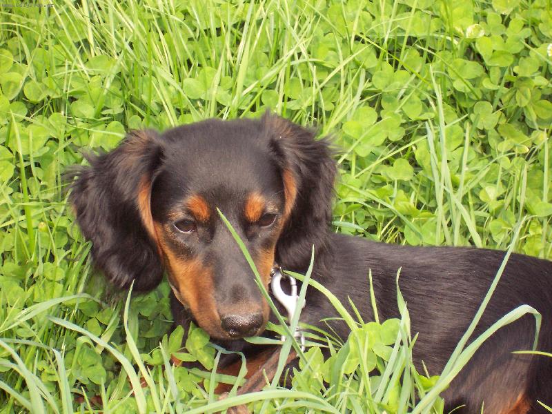 Foto: Tina-koule-jsem venku a moc se m� tam l�b�