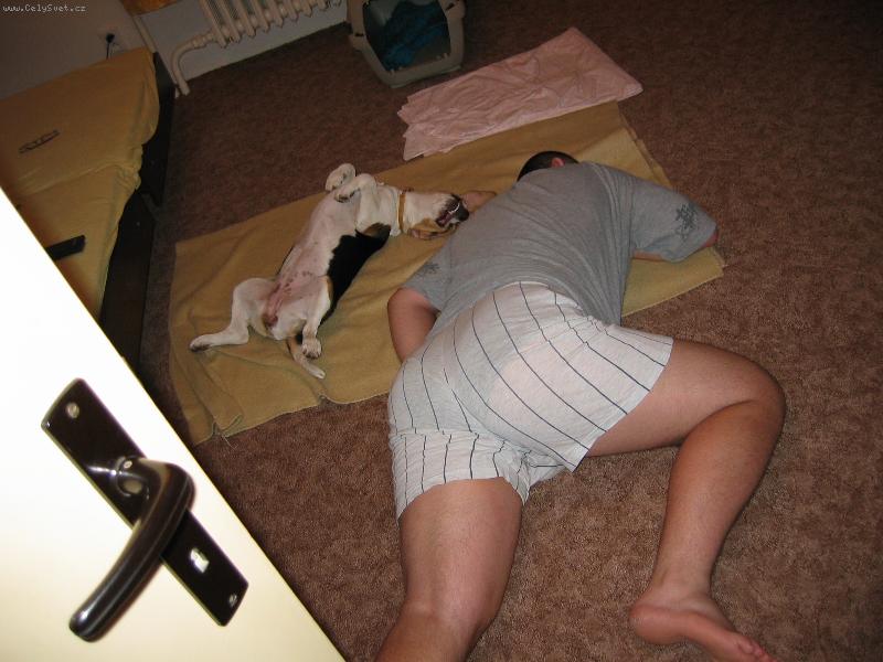 Foto: \"p�n a pes v akci\" :)