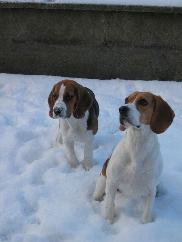 Foto: Ve dvou se to l�pe t�hne :)