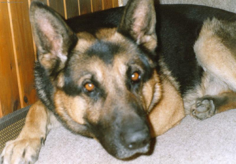 Foto: Dix��ek-Muc�nek m�j =o)