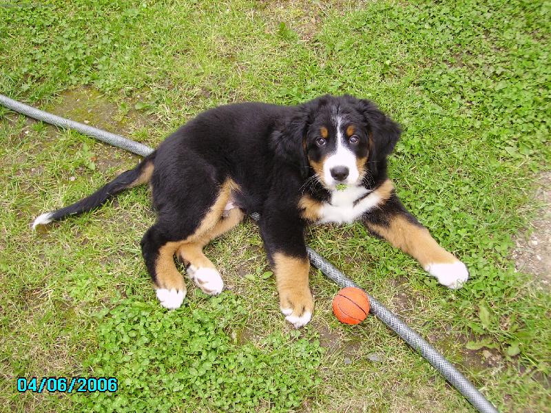 Foto: And�k a m��ek