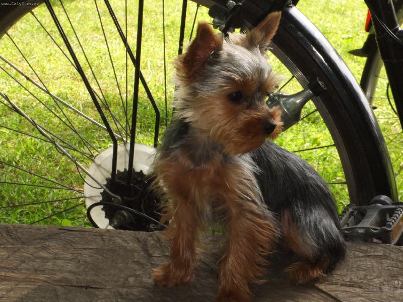 Foto: Eiminka-V�let na kole.. :)