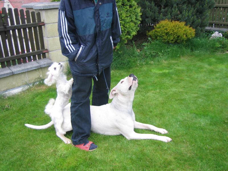 Foto: Kampak ten pamlsek pani�ka schovala???