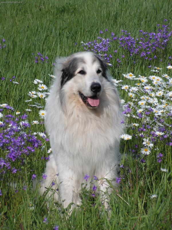 Foto: Monty v l�t�-Monty v l�t�