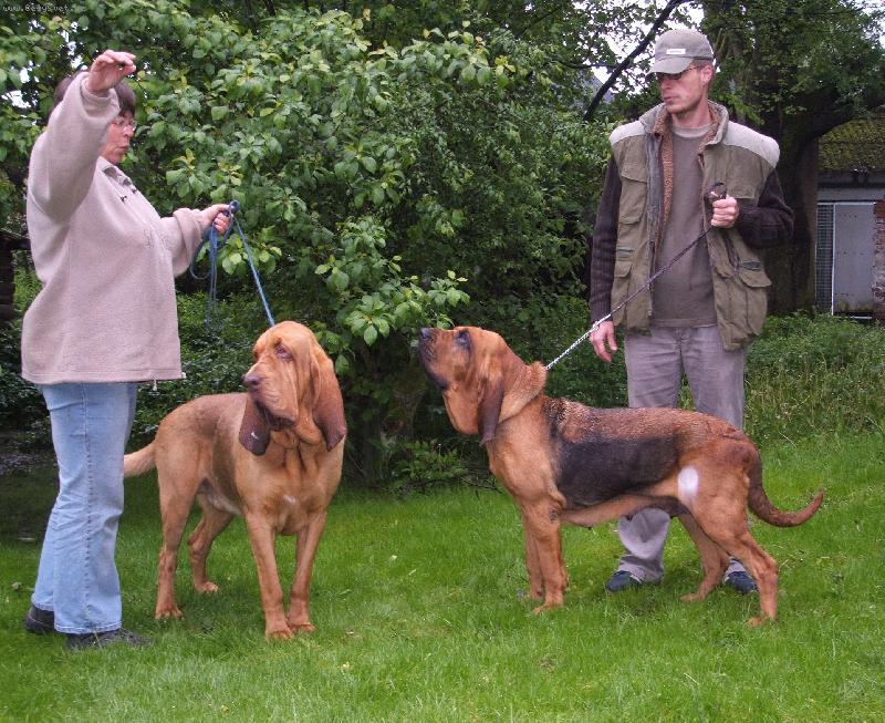 Foto: man�el� v Belgii-v�let �esk� d�my do Belgie