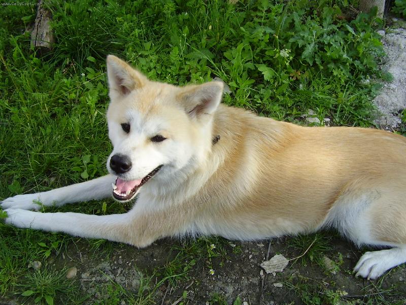 Foto: na�e Do�i-pohoda