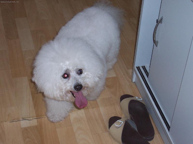 Foto: Andy z �erven�ch roklin