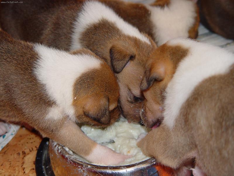 Foto: M�am-Foto: J. Ou�edn�k