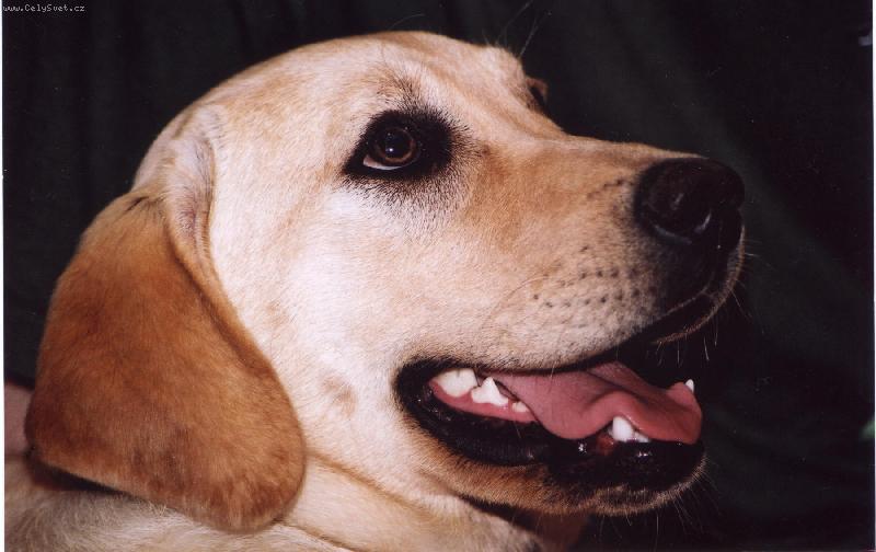 Foto: Felin-To je na�e Felinka...