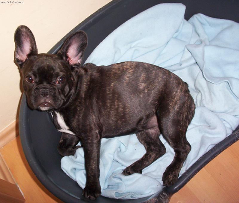 Foto: Roz�rka 5 m�s�c�