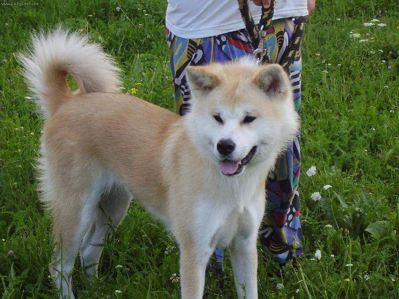 Foto: Do�i venku-jsem to ale fe�anda