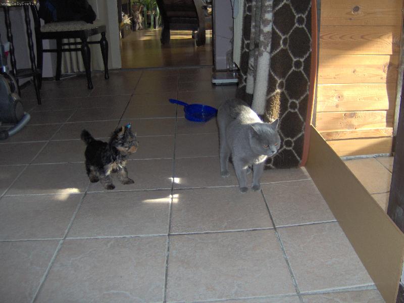 Foto: Charlie a Barunka