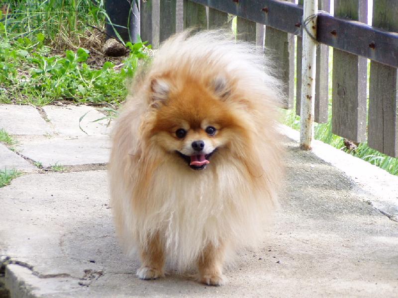 Foto: prost� pohoda-ly���ek na n�v�t�v� u d�dy v Hn�nic�ch