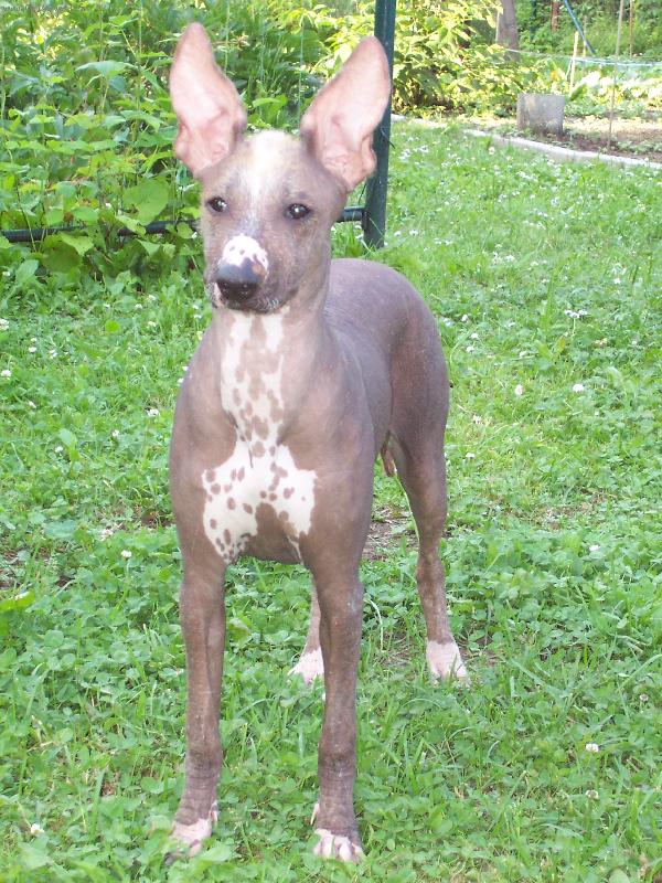 Foto: Essy Nort Brun