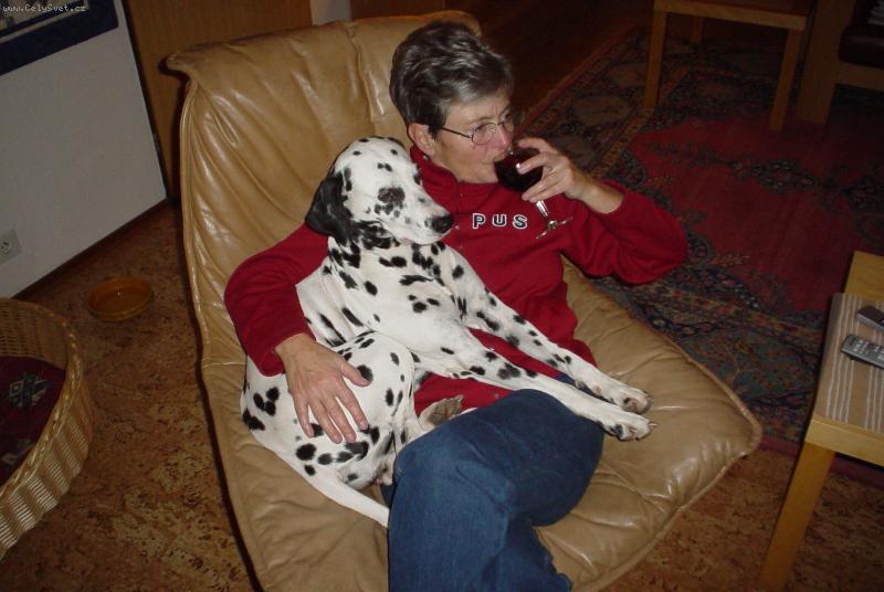 Foto: \"Meisje\" (means little girl in Dutch language)