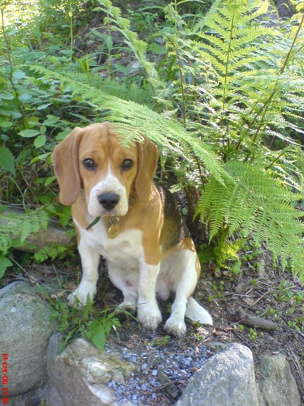 Foto: Eda-d�l u� m� opravdu nedostanete, tady kon��m a hotovo