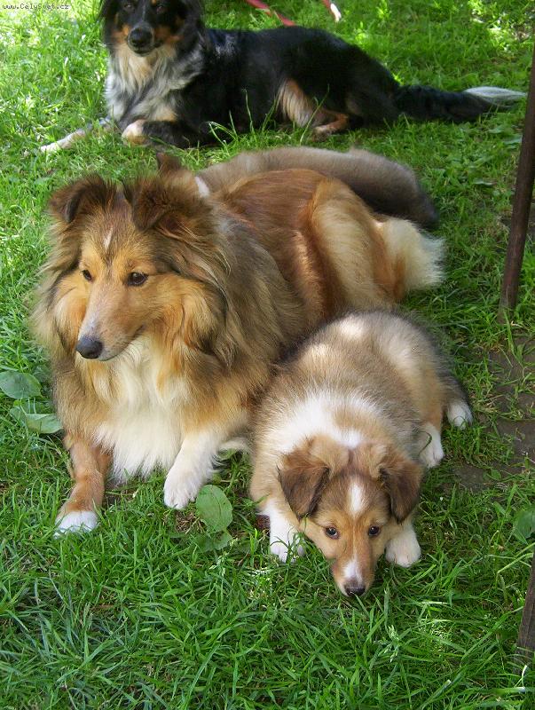 Foto: Eli�ka a jej� �t���tko