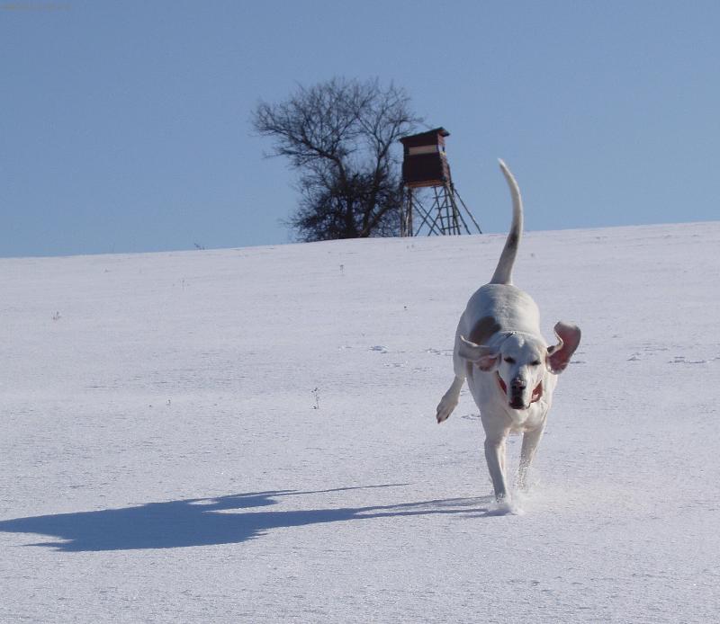 Foto: ICh.Penny-tady me to bavi nejvic