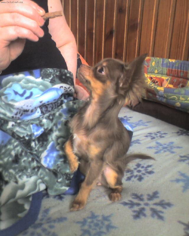 Foto: Magali-uk�zkov� posez :-)