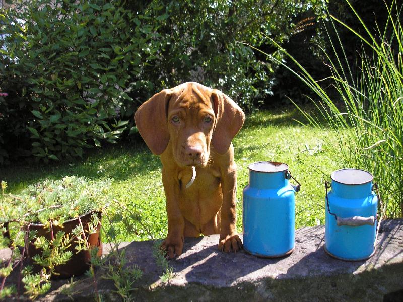 Foto: Tessinka-tady jsem jako ��en�