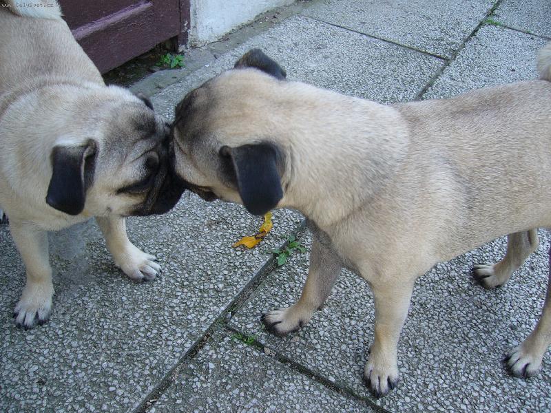 Foto: Queeny a �iki se maj� opravdu r�di:)