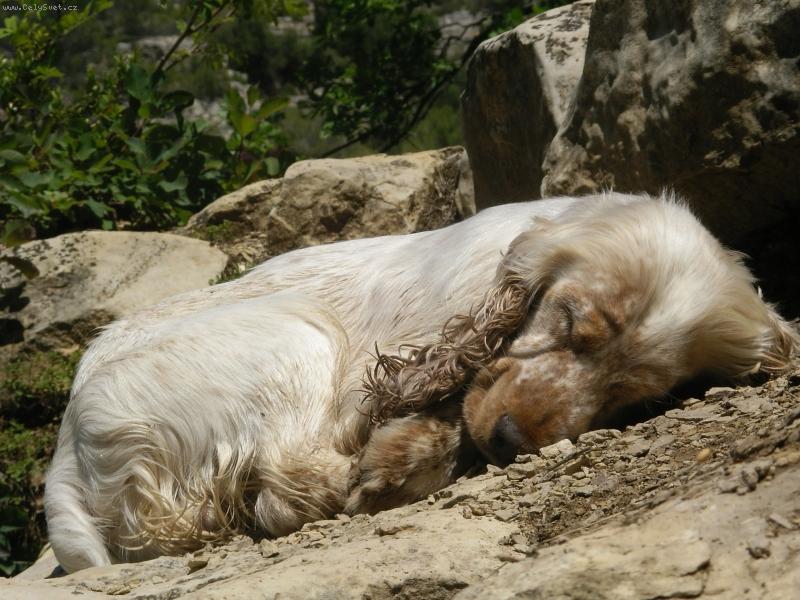 Foto: barnab� po z�chran��sk� v�prav�