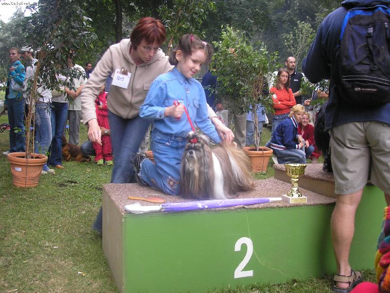 Foto: SHIH-TZU CH.Jeron Atrei-Dc�ra Dominika v s��a�i Die�a a pes