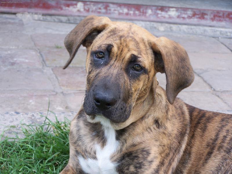 Foto: Fidel-Tady mu jsou 3 m�s�ce