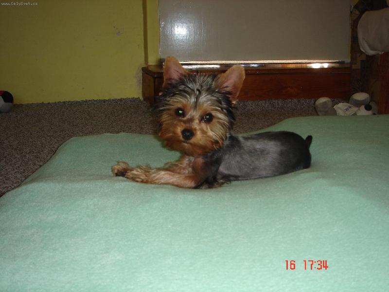 Foto: Nah��ek-Po st��h�n�