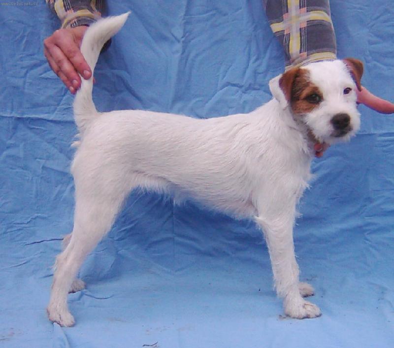 Foto: Lump�rna mi ��� z o��